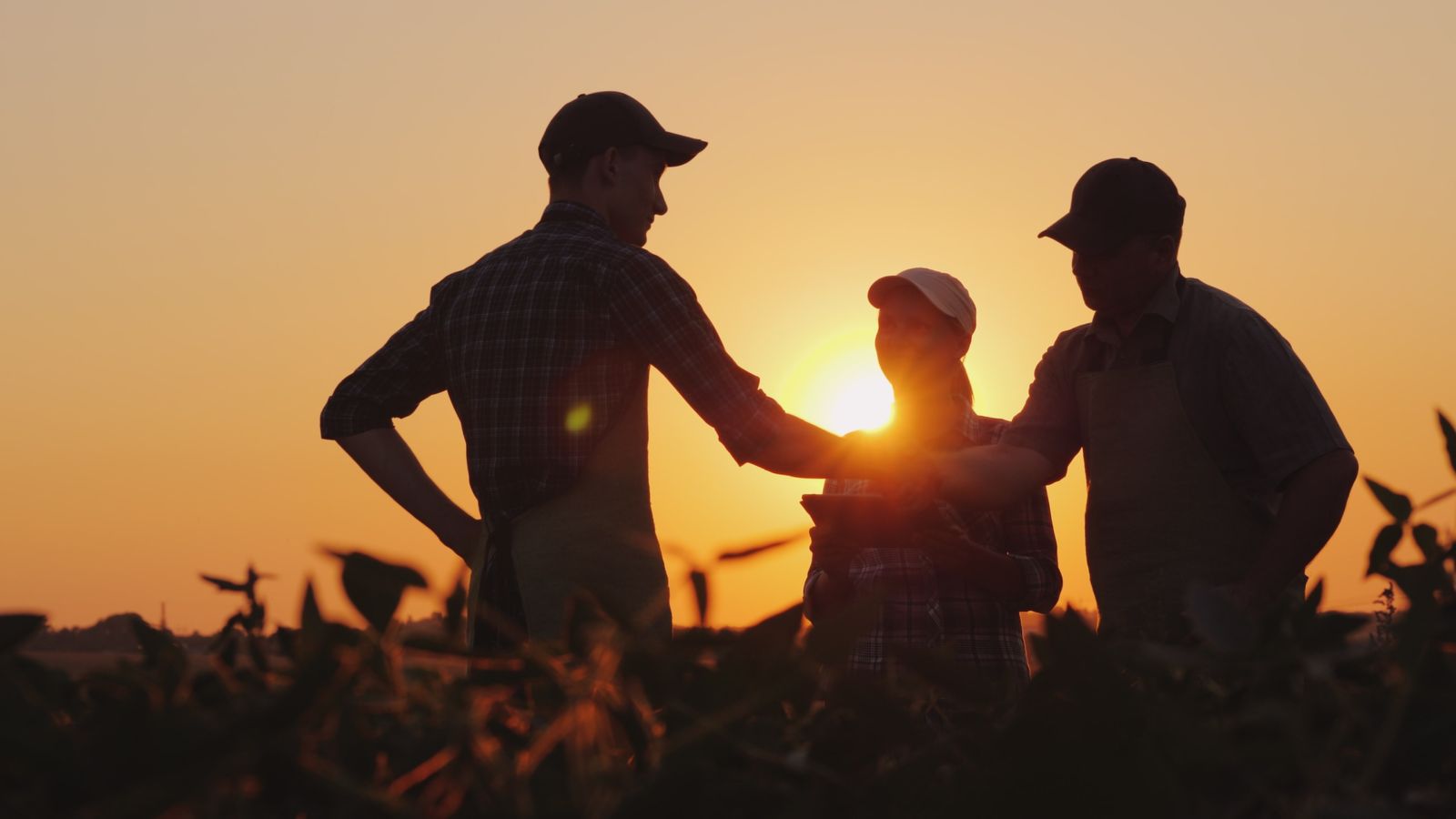 Farm family and agricultural operation